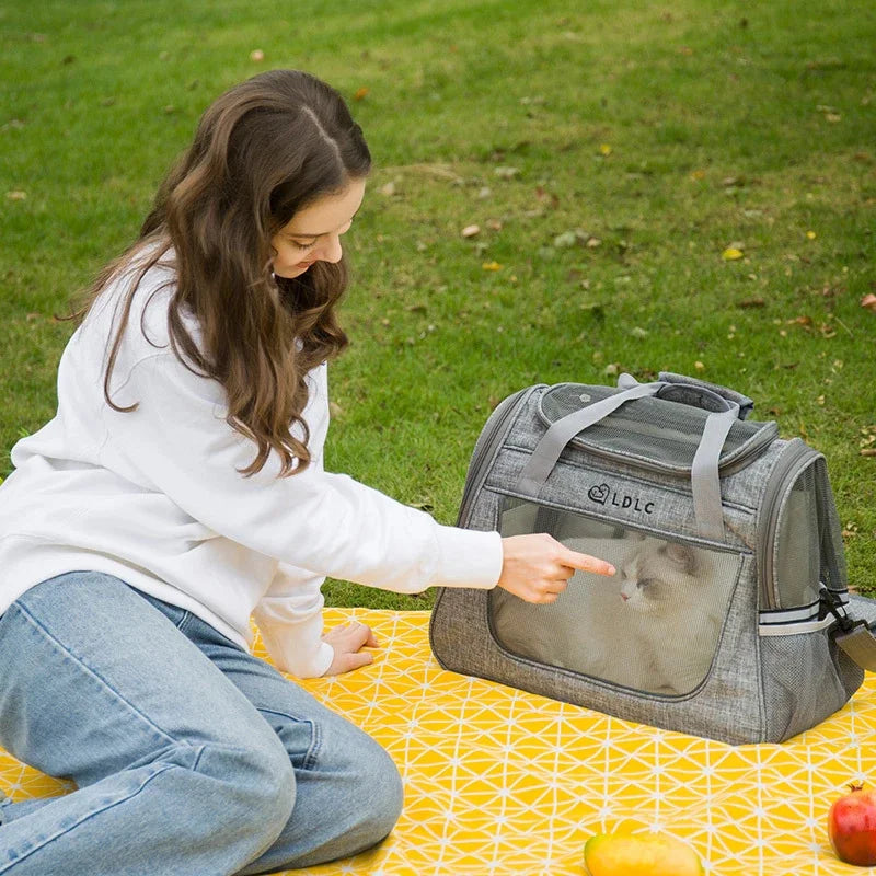 Portátil pet gato cão portador saco de assento de carro respirável gato filhote de cachorro oxford bolsa mochila chihuahua viagem ao ar livre saco de transporte ninho